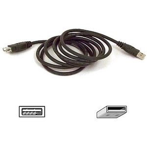 Belkin International, Inc F3U134B03 Belkin USB Extender Cable