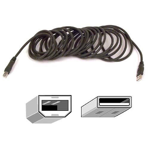 Belkin International, Inc F3U133B10 Belkin USB Cable