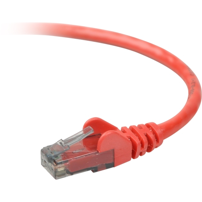 Belkin International, Inc A3L980-06-RED-S Belkin Cat. 6 UTP Patch Cable